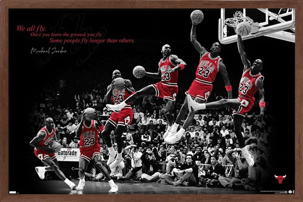 Michael Jordan - Fly Wall Poster, 14.725