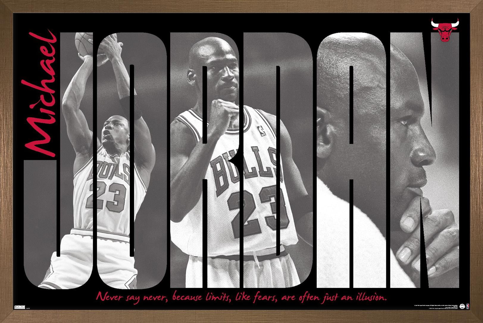 Michael Jordan - Never Say Never Wall Poster, 14.725" x 22.375" Framed