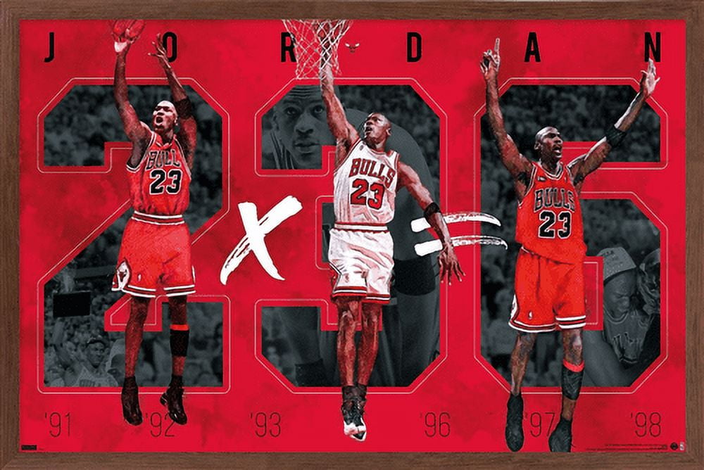 Michael Jordan - Six Wall Poster, 14.725" x 22.375", Framed