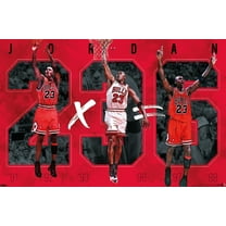 Michael Jordan - Six Wall Poster, 22.375" x 34"