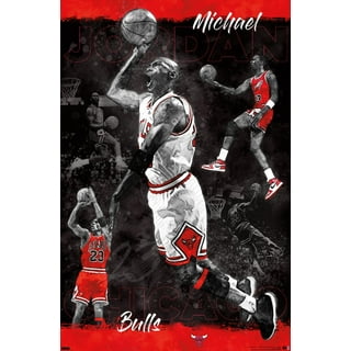 Trends International Gallery Pops Michael Jordan - Jersey Number  White Wall Art Wall Poster, 12 x 12, Black Frame Version: Posters & Prints