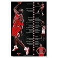 thumbnail image 1 of Michael Jordan - Timeline Wall Poster, 14.725" x 22.375", Framed, 1 of 3