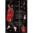 thumbnail image 1 of Michael Jordan - Timeline Wall Poster, 14.725" x 22.375", Framed, 1 of 3