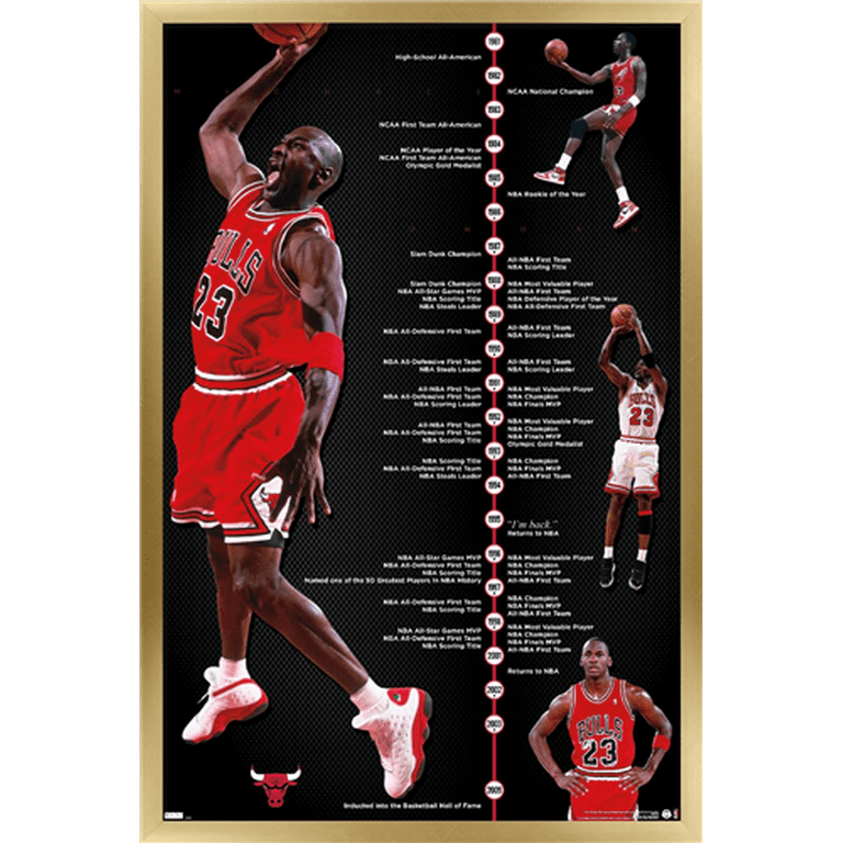 Michael Jordan - Timeline Wall Poster, 22.375 x 34, Framed
