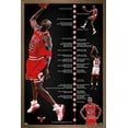 thumbnail image 1 of Michael Jordan - Timeline Wall Poster, 22.375" x 34", Framed, 1 of 3