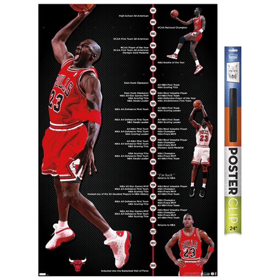 Michael Jordan - Timeline Wall Poster, 22.375" x 34"