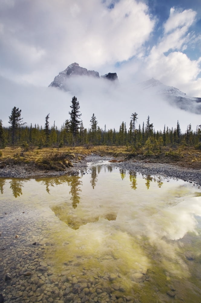 Michael Peak From The Emerald Lake Loop Trail Yoho National Park British Columbia Canvas Art - Darwin Wiggett Design Pics (11 x 17)