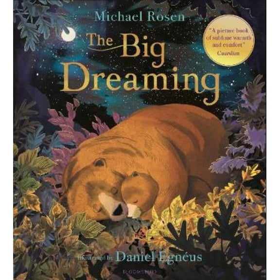 Michael Rosen The Big Dreaming (Paperback)