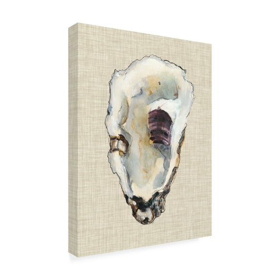 Trademark Fine Art Michael Willett Oyster Shell Study Iii Canvas Wall Art - 14x19