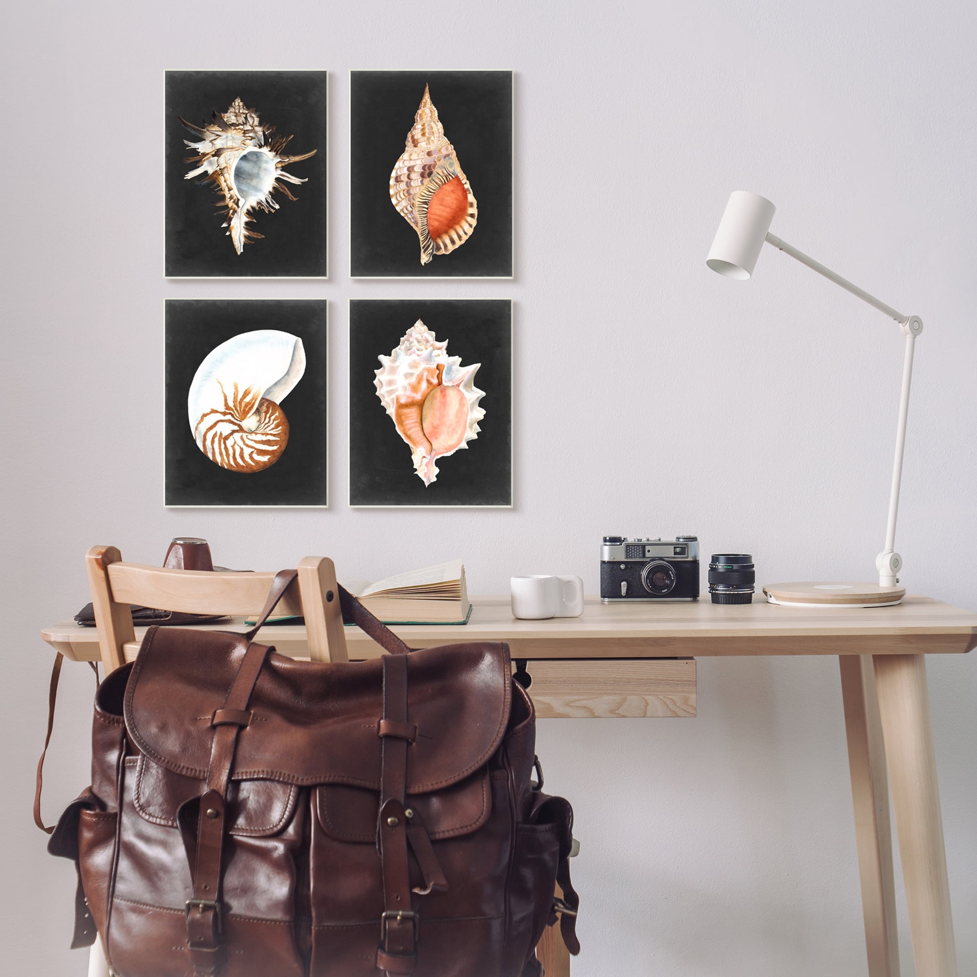 Stupell Industries Sea Shell Clam Conch Collection Realistic Illustration ,10 x 15, Design by Michael Willett