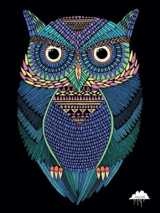 Michael the Magical Owl Canvas Art - Mulga (18 x 24)