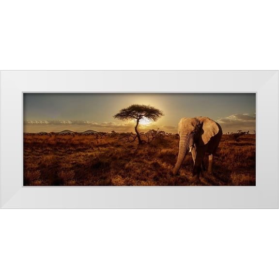 Michal, Susan 14x8 White Modern Wood Framed Museum Art Print Titled - Elephant and Tree