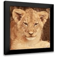 thumbnail image 1 of Michal, Susan 15x15 Black Modern Framed Museum Art Print Titled - Lion Cub, 1 of 5