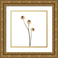 thumbnail image 1 of Michal, Susan 15x15 Gold Ornate Wood Framed with Double Matting Museum Art Print Titled - Strawflower, 1 of 4