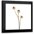 thumbnail image 1 of Michal, Susan 20x20 Black Modern Framed Museum Art Print Titled - Strawflower, 1 of 5