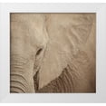 thumbnail image 1 of Michal, Susan 21x20 White Modern Wood Framed Museum Art Print Titled - Elephant Up Close, 1 of 4