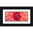 thumbnail image 1 of Michal, Susan 32x15 Black Ornate Wood Framed with Double Matting Museum Art Print Titled - Perfect Dahlia, 1 of 4