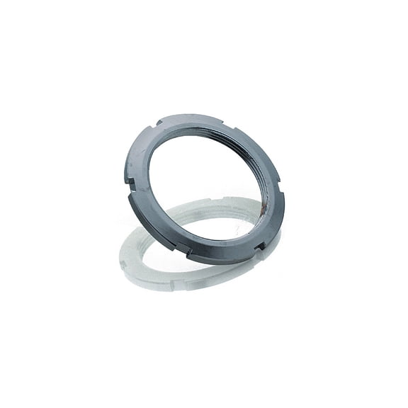 Miche Miche Sprocket Lockring 33.6x24tpi