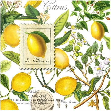 Michel Design Works Luncheon Napkins, Lemon Basil