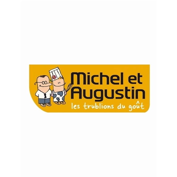 Michel et Augustin: Success of a Creative and Innovative Company (Paperback)
