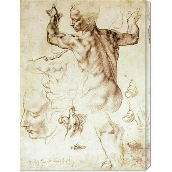 Michelangelo 'Anatomy Sketches (Libyan Sibyl)' Stretched Canvas