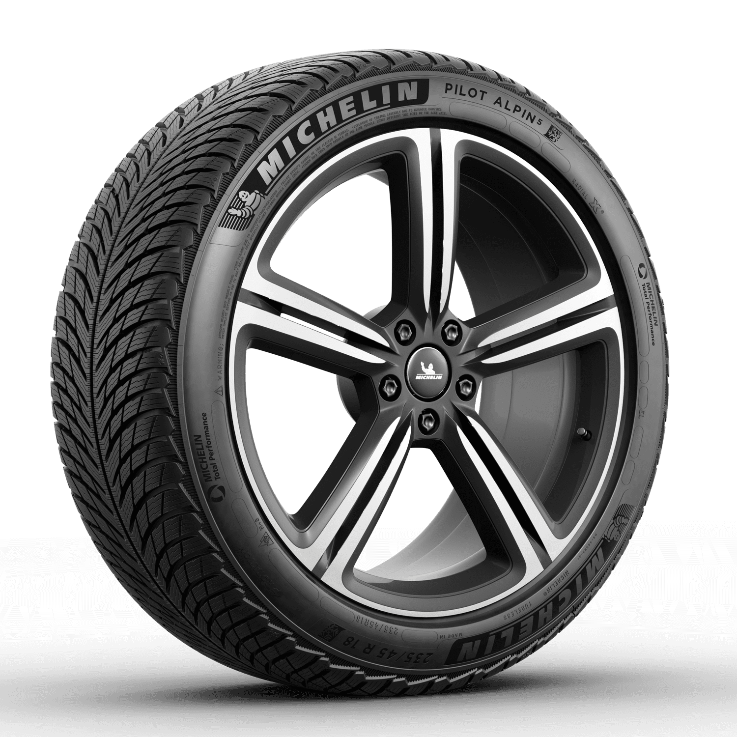 Michelin Pilot Alpin 5 Winter 255/35R19/XL 96V Tire - Walmart.com