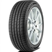 Michelin Primacy MXM4 255/45R19 100 V Tire Simolary simolary.com 12