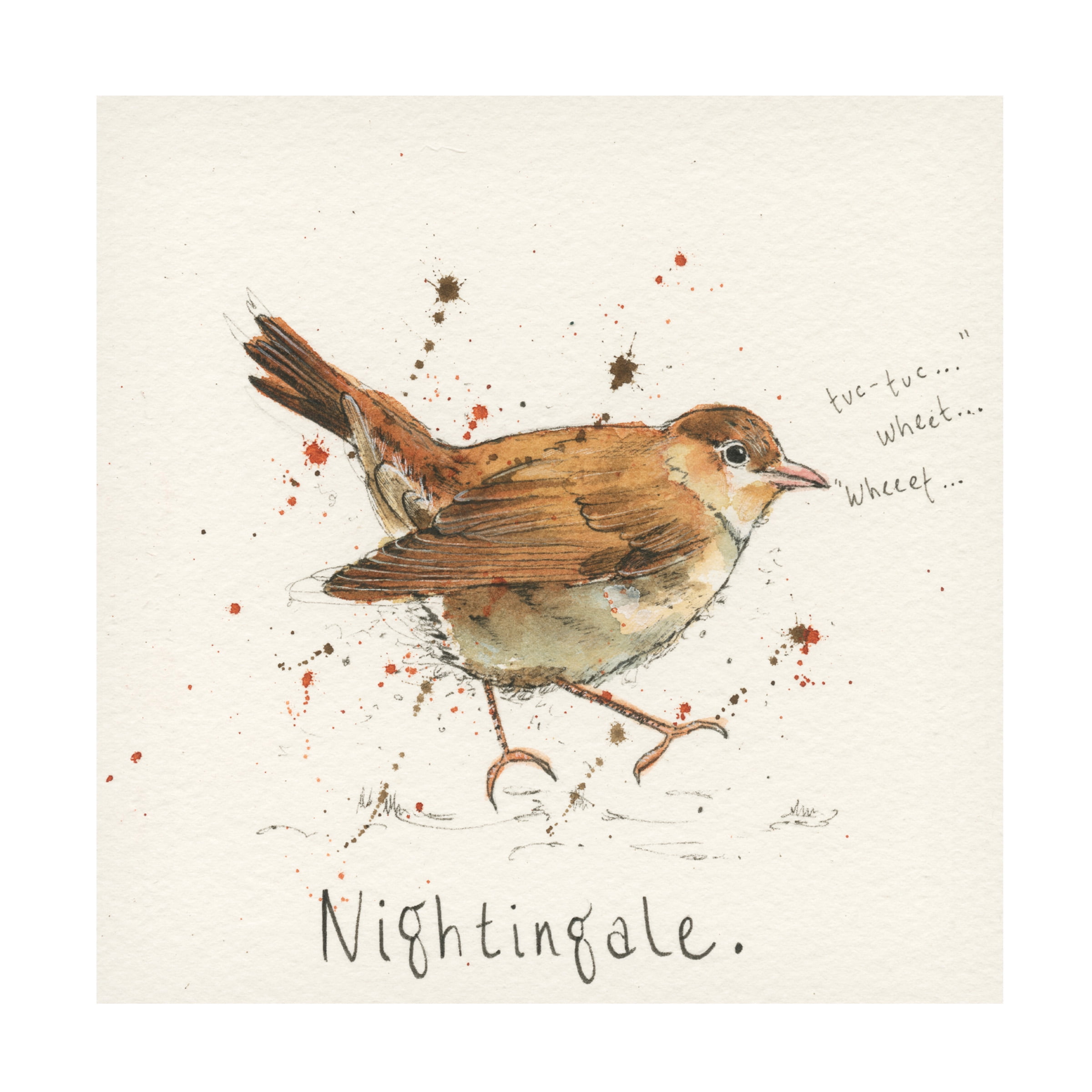 Michelle Campbell 'Nightingale' Canvas Art