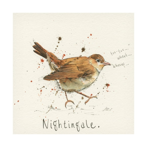 Michelle Campbell 'Nightingale' Canvas Art
