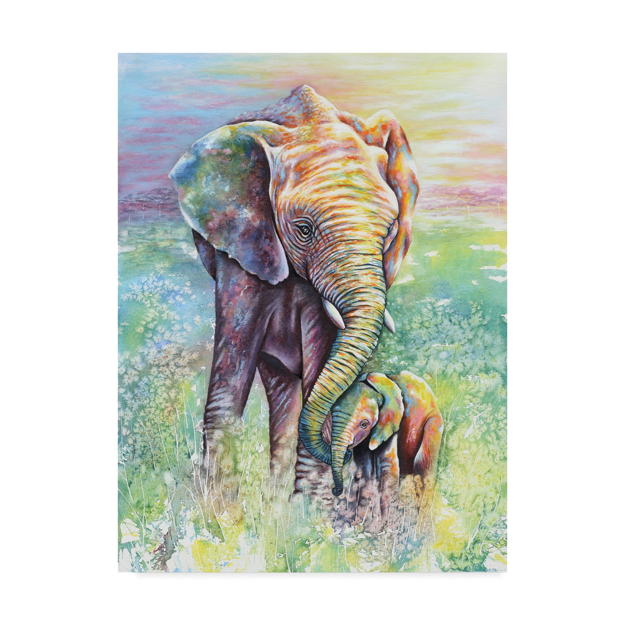 Michelle Faber 'Mother & Baby Elephant Rainbow Colors' Canvas Art