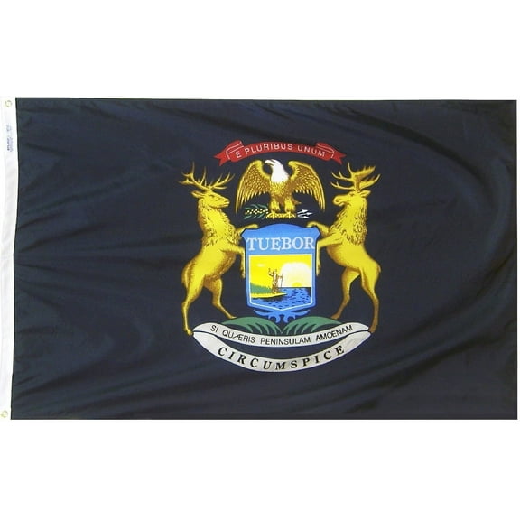 Michigan - 4'X6' Nylon Flag