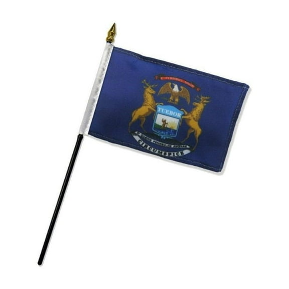 Michigan 4x6in Stick Flag