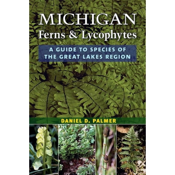 Michigan Ferns and Lycophytes: A Guide to Species of the Great Lakes Region, (Paperback)