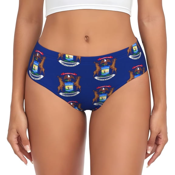 Michigan Flag Bikini Panties Stretch Cool 3D printed Underwear for Women Medium