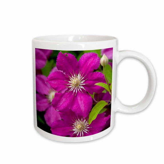 Michigan - Flowers at Robinettes Apple Haus 11oz Mug mug-210021-1