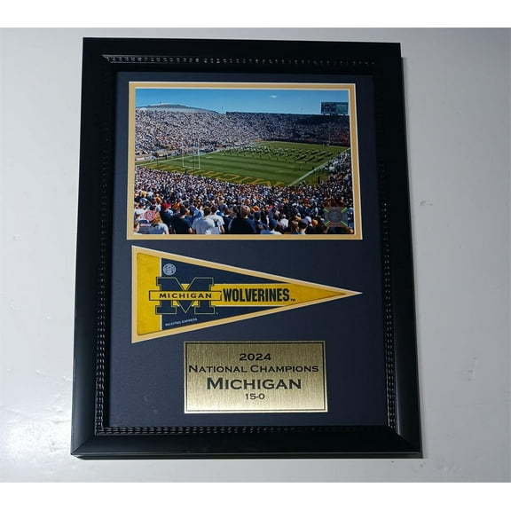 Michigan Football 12x18 Framed photo