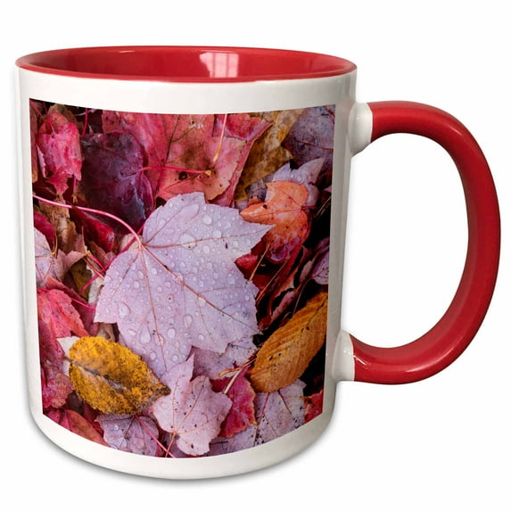 3drose, Michigan, Keweenaw Peninsula. a Pattern of Wet Autumn Leaves., 15oz Two-tone Red Mug