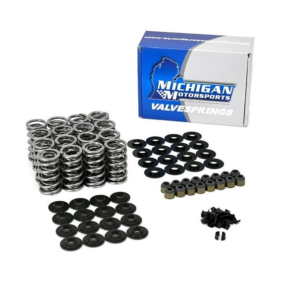 Michigan Motorsports .645" LS Dual Valve Spring Kit with Steel Retainers LS1 LS3 4.8 5.3 5.7 6.0 6.2 Valvesprings