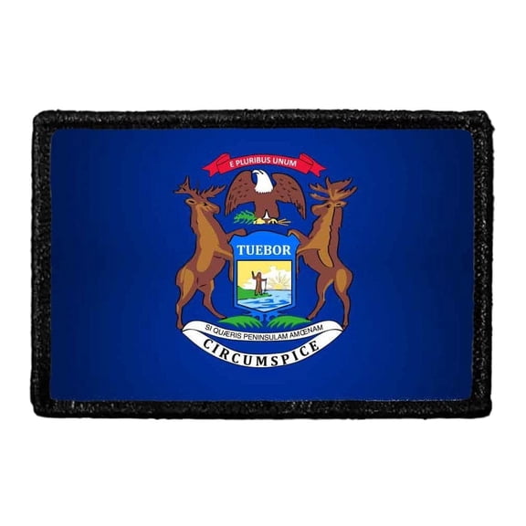 Michigan State Flag - Color - Removable Patch