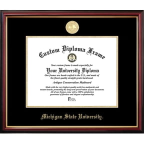 Michigan State Petite Diploma Frame