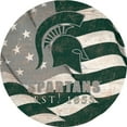 thumbnail image 1 of Michigan State Spartans 12" Team Color Flag Sign, 1 of 1