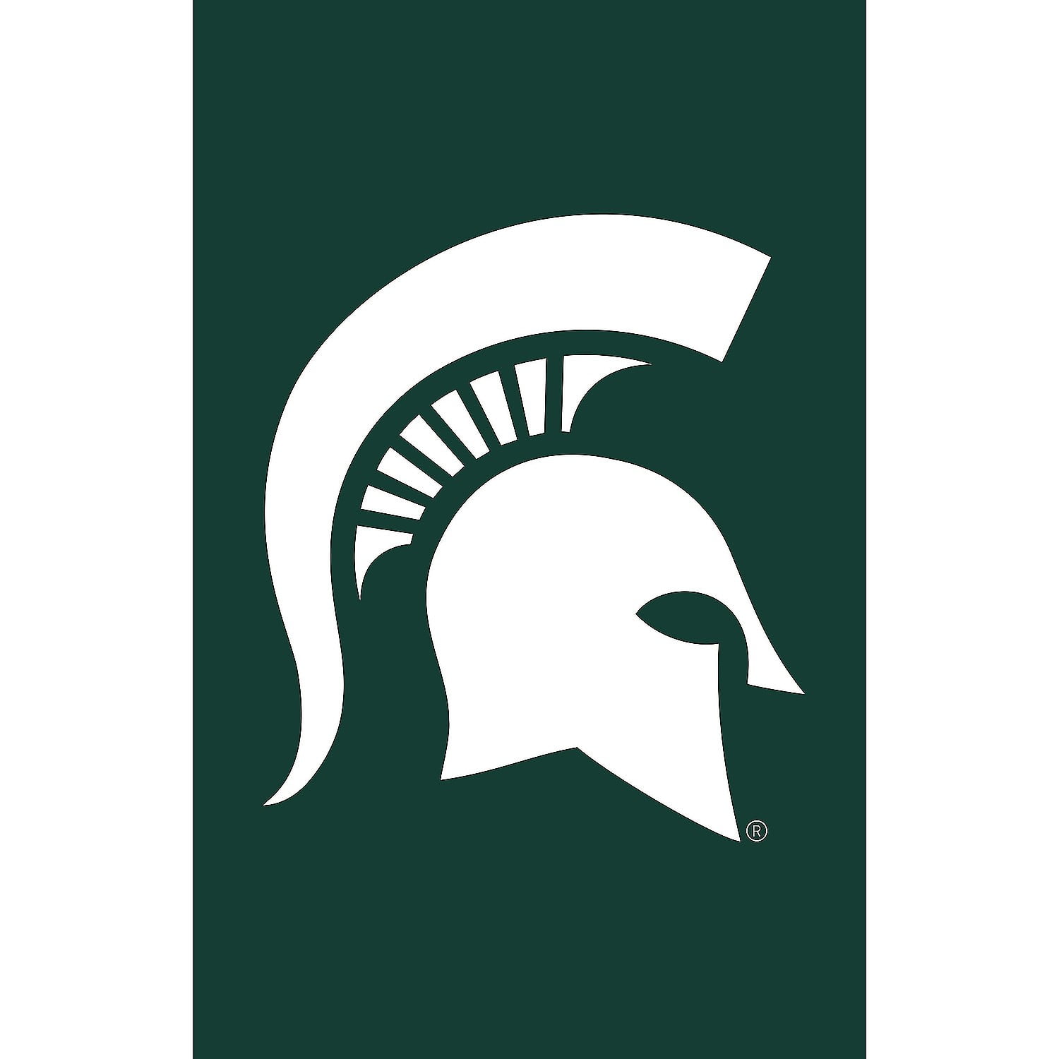 Michigan State Spartans Green and White Garden Flag