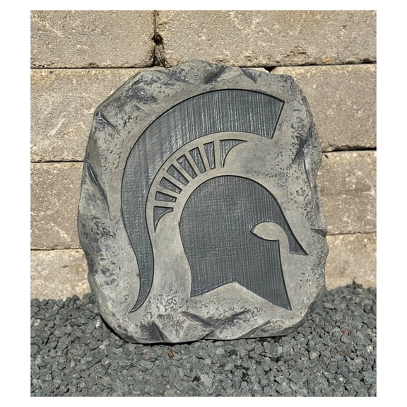 Michigan State Spartans Stepping Stone
