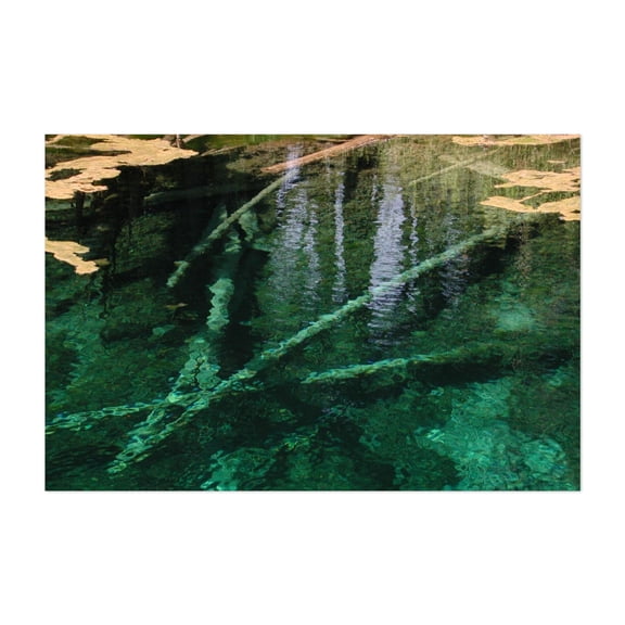 Michigan Submerged Serenity - Photography Lake Water Nature Aquatic Scenic Wilderness Calm Unframed Wall Art Print 8 x 12 inches