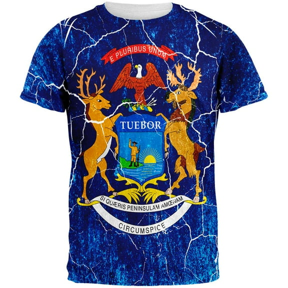 Michigan Vintage Distressed State Flag All Over Mens T Shirt Multi SM