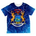 thumbnail image 1 of Michigan Vintage Distressed State Flag All Over Toddler T Shirt Multi 6T, 1 of 2