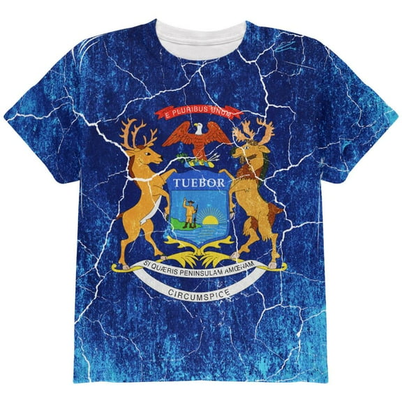 Michigan Vintage Distressed State Flag All Over Youth T Shirt Multi YLG