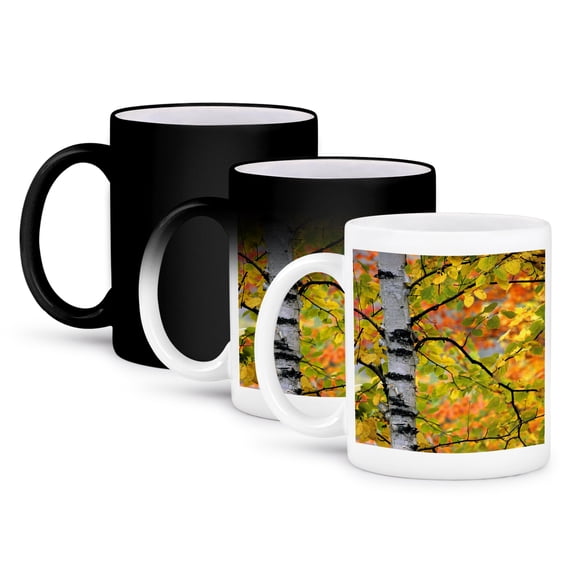 3dRose, Michigan, White paper birch, Autumn - US23 BJA0111 - Jaynes Gallery, 11oz Magic Transforming Mug