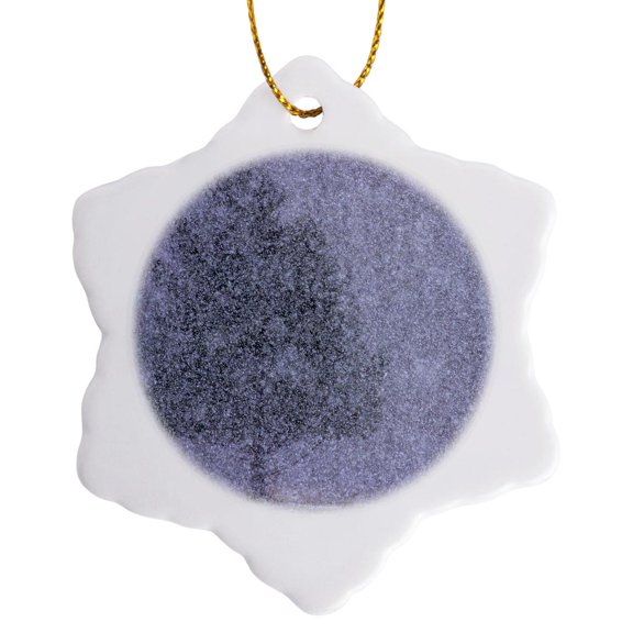 3drose, Michigan, White Pine, Winter Snow Squall - Us23 Bja0053 - Jaynes Gallery, 3 inch Snowflake Porcelain Ornament