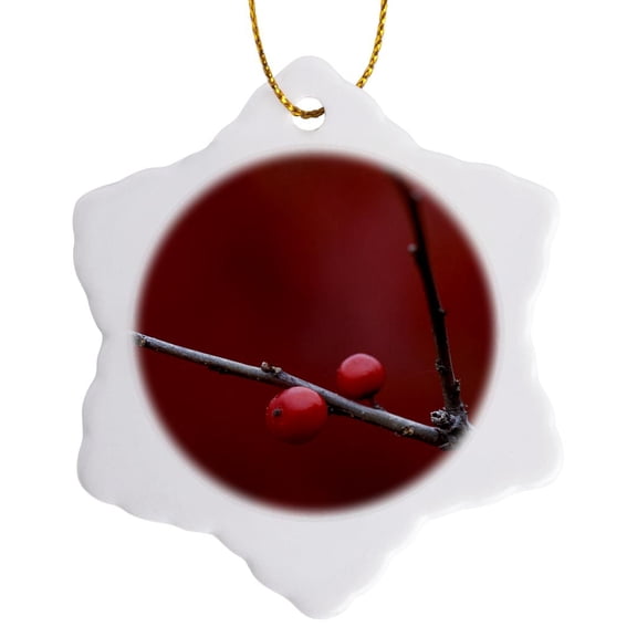 3drose, Michigan, Winterberry Holly Berries - Us23 Bja0052 - Jaynes Gallery, 3 inch Snowflake Porcelain Ornament